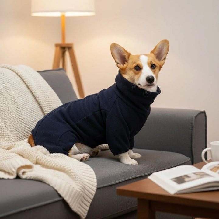 Hochwertiger Hundeoverall mit Kälteschutz. Stilvolle Winterbekleidung für alle Hunderassen.