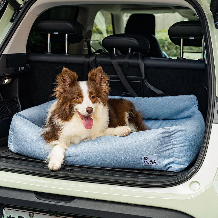Hund genießt komfortable Reise im Hundeautositz. Sichere Rückbank-Position, ideal für lange Fahrten.