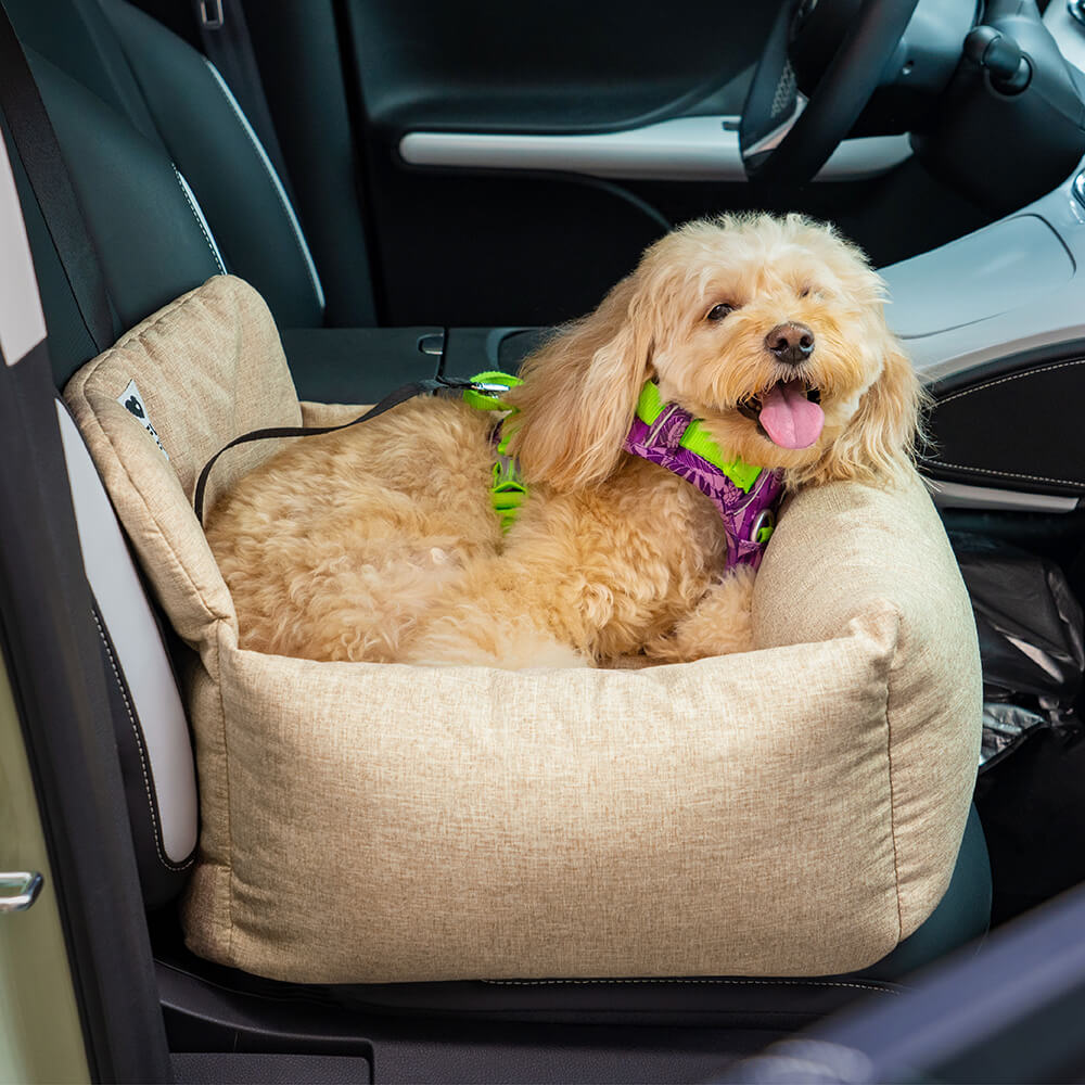 Premium Hundeautositz aus Canvas. Waschbar, sicher & bequem für Rückbank-Reisen. Optimaler Tiertransport.