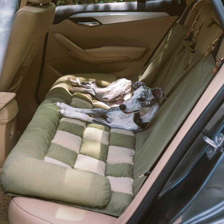 Schicker Hundeautositz im Schachbrettmuster, bietet Sicherheit & Komfort auf langen Reisen.