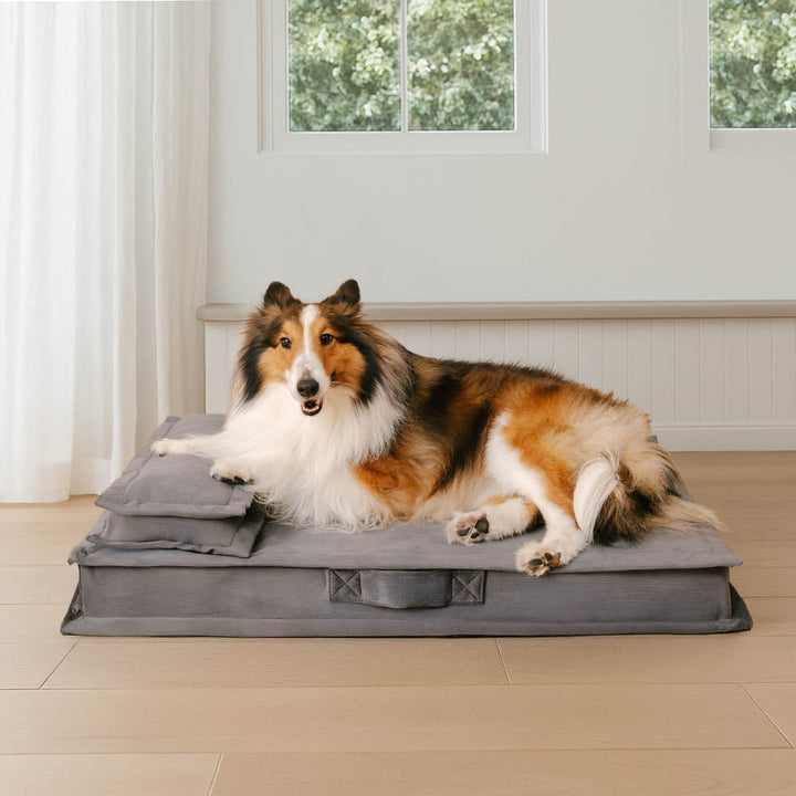 Premium Hundebett mit Gelenkentlastung. Anti-Angst Design für erholsamen Tiefschlaf & Ruhe.