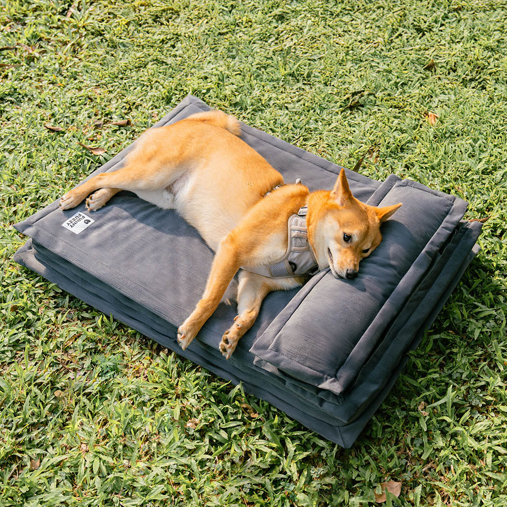 Stressreduzierendes Hundebett. Weiches Kuschelbett für Tiefschlaf & Gelenkentlastung. Anti-Angst.