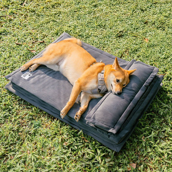 Stressreduzierendes Hundebett. Weiches Kuschelbett für Tiefschlaf & Gelenkentlastung. Anti-Angst.
