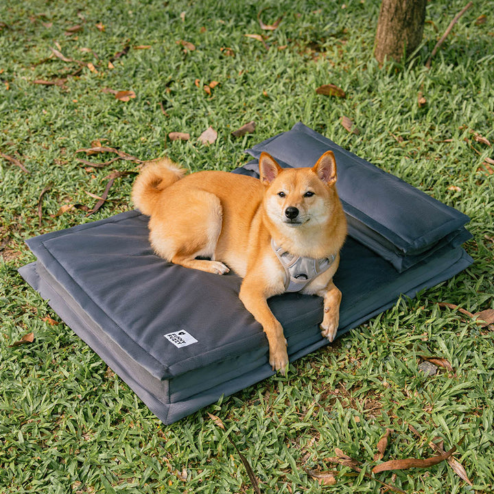 Flauschiges Hundebett für ein Gefühl der Geborgenheit. Anti-Angst & gelenkfreundlich.