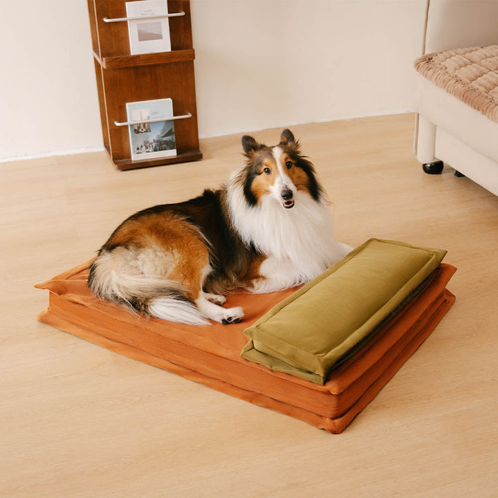 Dein Hund genießt Tiefschlaf im Komfortbett. Anti-Angst, Gelenkentlastung & weich.