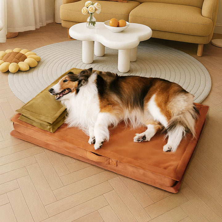Hochwertiges Anti-Angst Hundebett in modernem Design. Fördert Tiefschlaf & schont Gelenke.