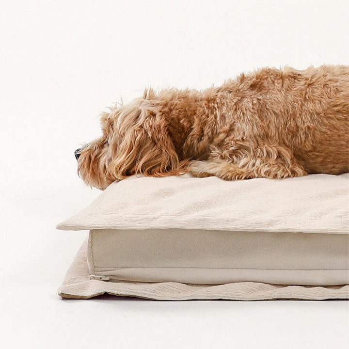 Waschbares Kuschelbett für Hunde. Anti-Angst, Gelenkstütze & perfekt für erholsamen Tiefschlaf.