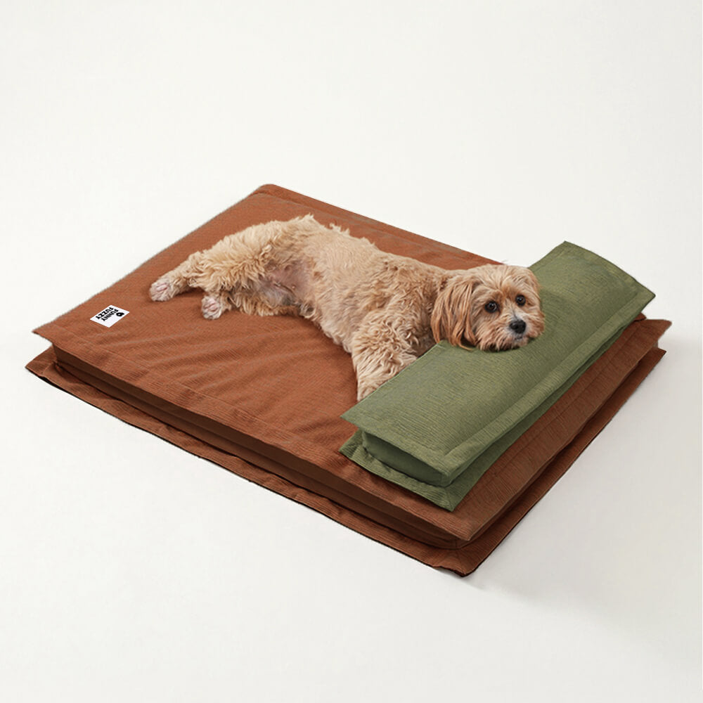 Weiches orthopädisches Hundebett für Tiefschlaf. Waschbar, Anti-Angst & gelenkschonend.