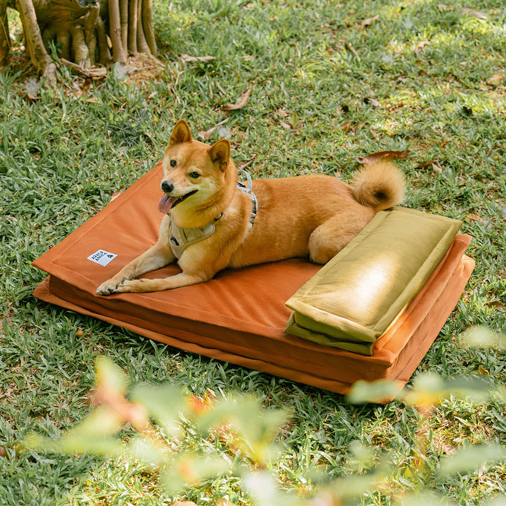 Komfortables Hundebett, perfekt für Angstzustände. Gelenkstütze & tiefer, erholsamer Schlaf.
