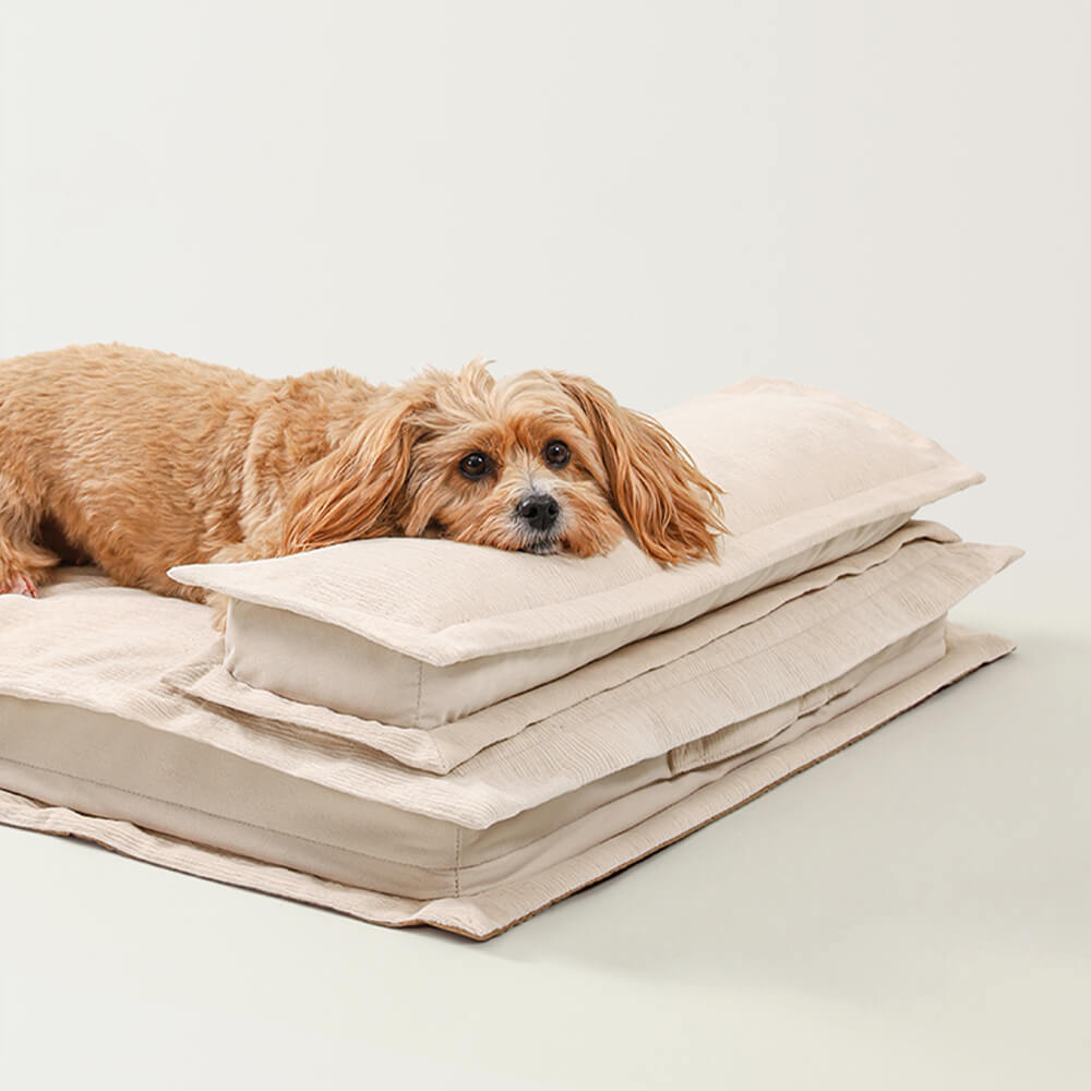Gelenkfreundliches Hundebett in hellem Grau. Anti-Angst Design für ruhigen Tiefschlaf.