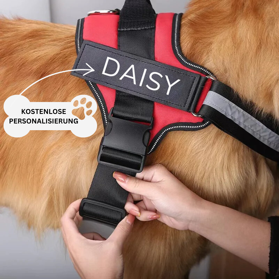 Hundegeschirr personalisiert mit Namen, reflektierend & Anti-Zug Funktion. Ideales Hunde-Zubehör.