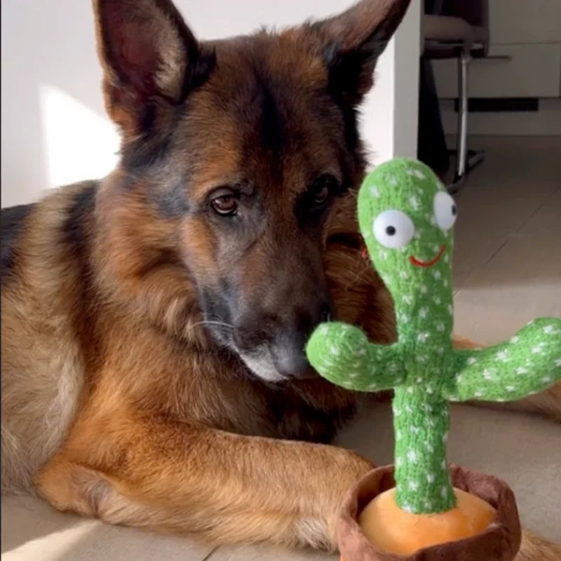 Interaktives Hundespielzeug Kaktus aus Plüsch, das singt, tanzt & spricht, ideal für Welpen zur Antistress-Beschäftigung.