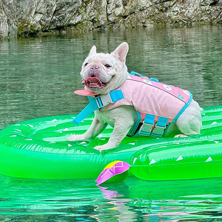 Großer Hund mit stabiler Hundeschwimmweste: Bietet sichere Auftriebshilfe und Halt beim Schwimmen für starke Hunderassen.