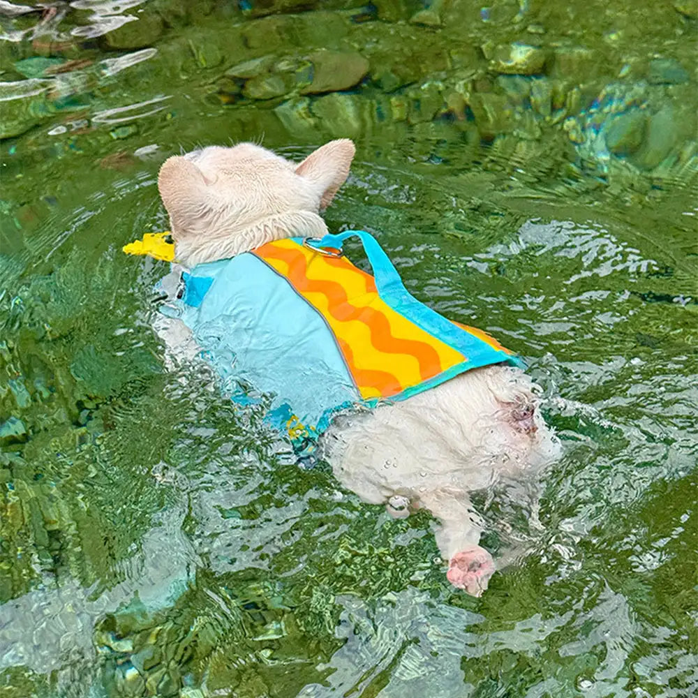Welpe mit kleiner, verstellbarer Hundeschwimmweste: Bietet Auftriebshilfe und Sicherheit für junge Hunde beim Schwimmen lernen.