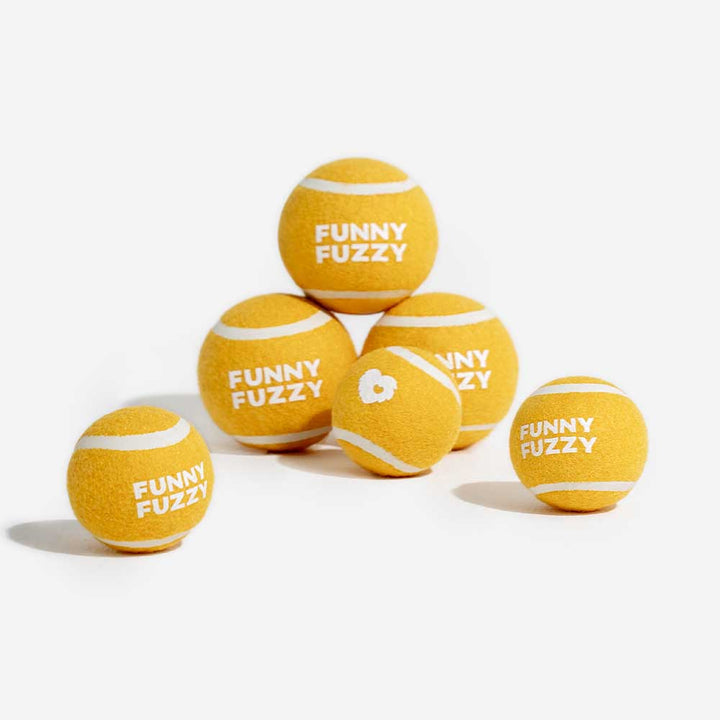 Hundespielzeug Tennisball mit Quietscher für Apportierspiele & hohe Sprungkraft.