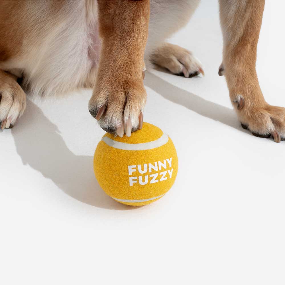 Der Hundespielzeug Tennisball mit Quietscher und hoher Sprungkraft begeistert jeden Hund.