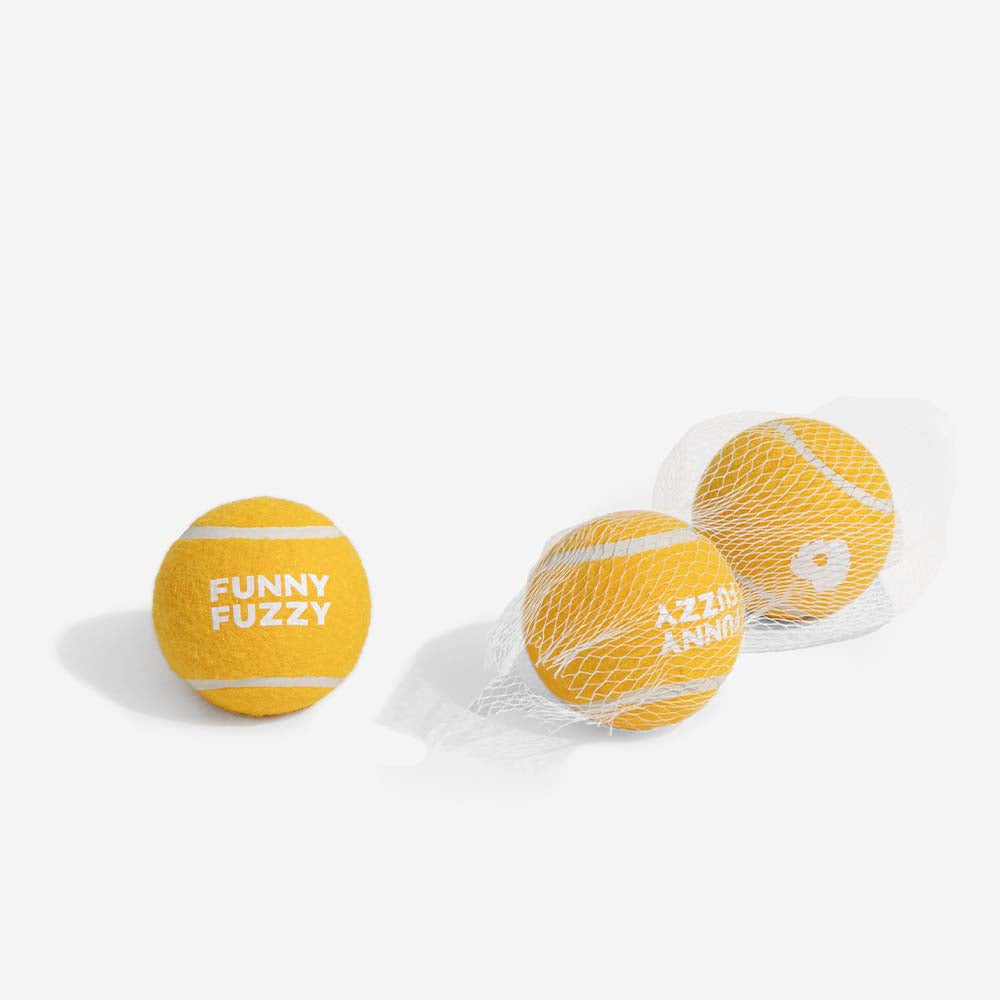 Sicherer Haustier-Spielball: Hundespielzeug Tennisball mit Quietscher für gesundes Toben.