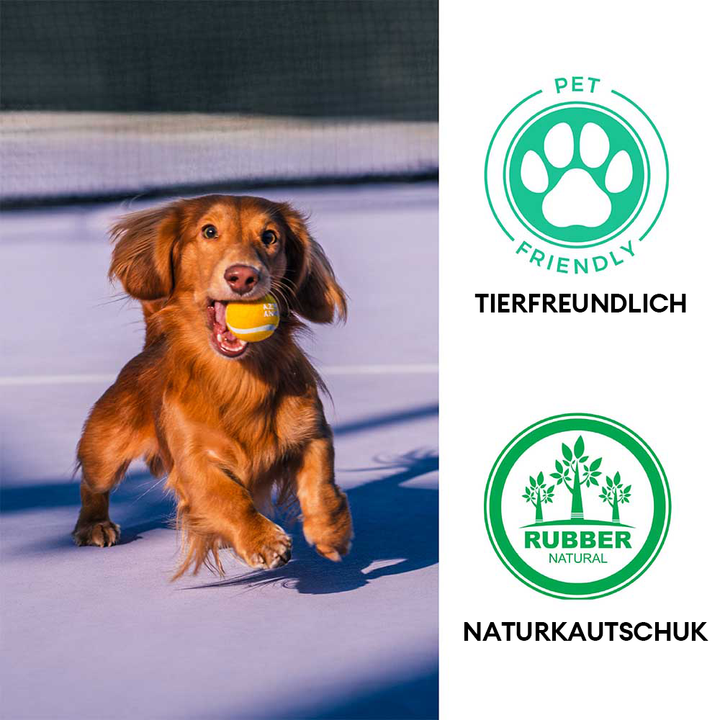 Langlebiger Hundespielzeug Tennisball mit Quietscher fördert Aktivität & Sprungvergnügen.