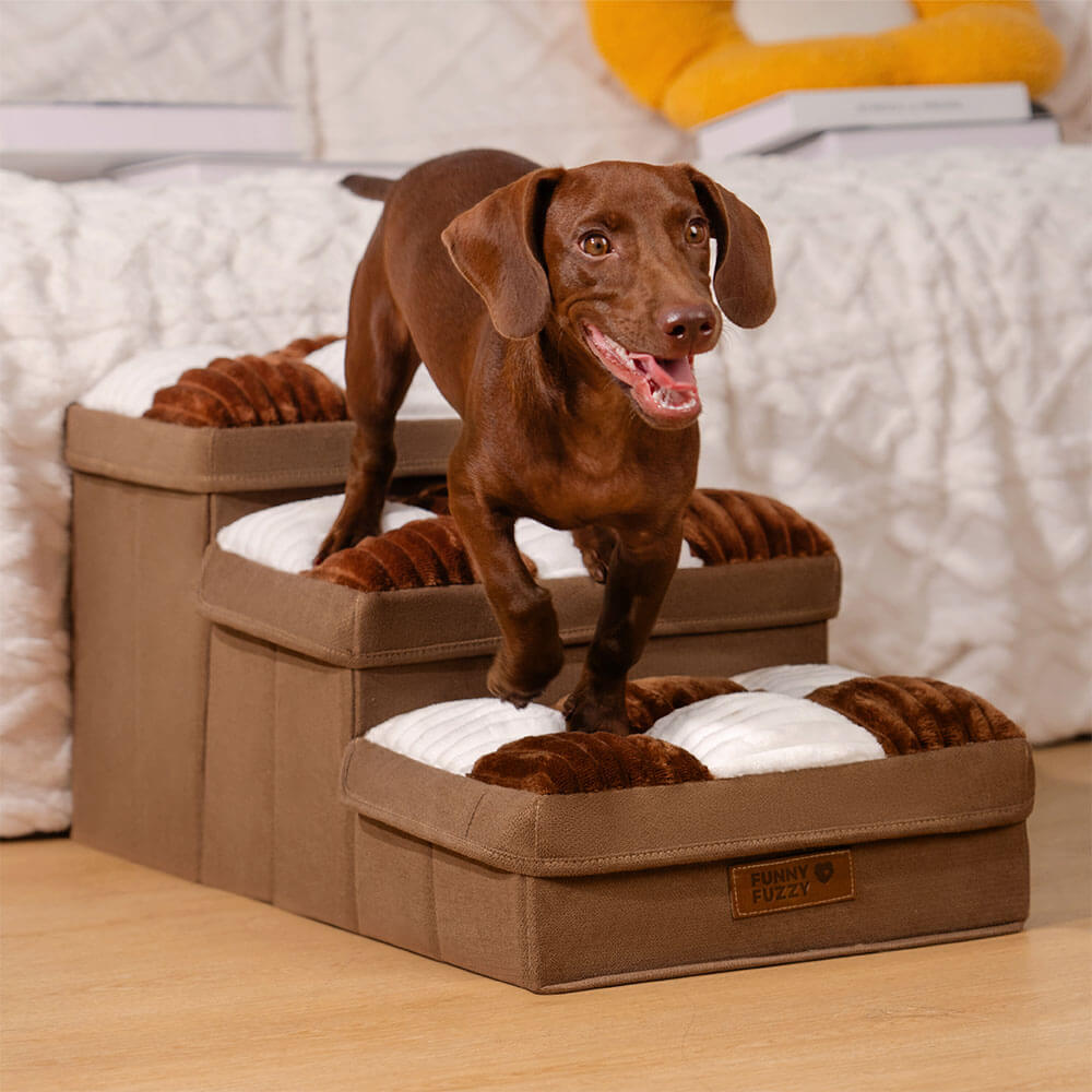 Hundetreppe mit Stauraum in Grau, rutschfest, schützt Gelenke, ideal für kleine Hunde und Haustiere.