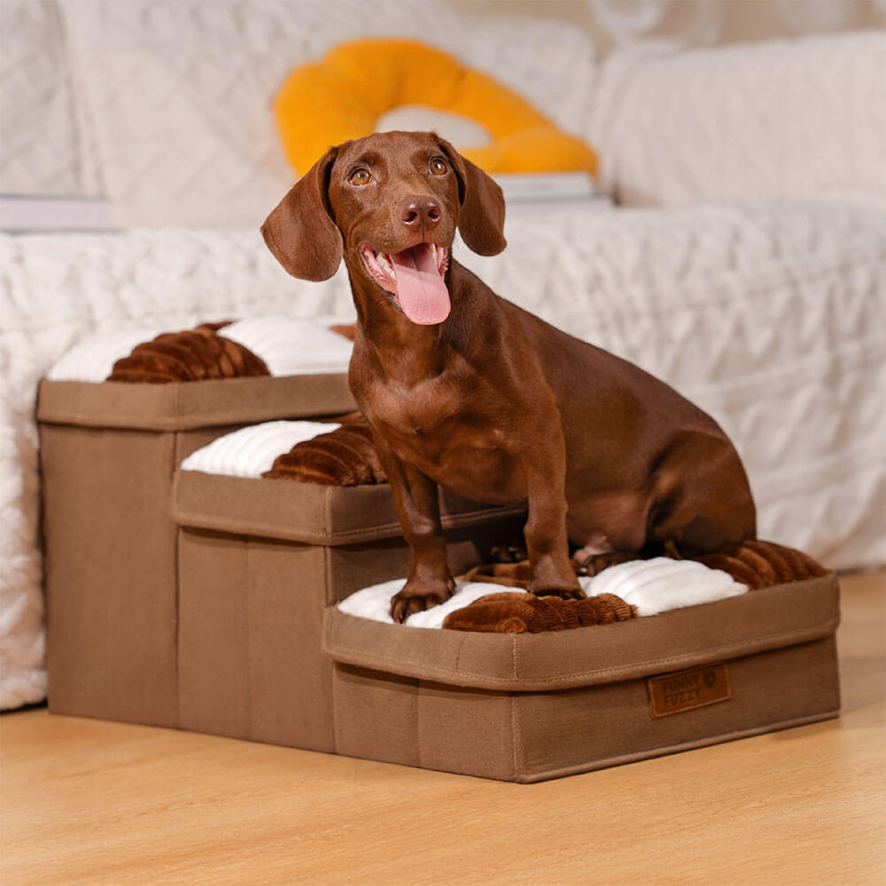 Tierfreundliche Hundetreppe mit integriertem Stauraum, Gelenkschutz, in modernem Grau. Für Sofa/Bett.