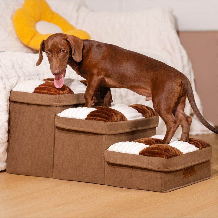 Hundetreppe mit Gelenkschutz & weichen Stufen, Stauraum, in dezentem Grau. Perfekt für kleine Rassen.
