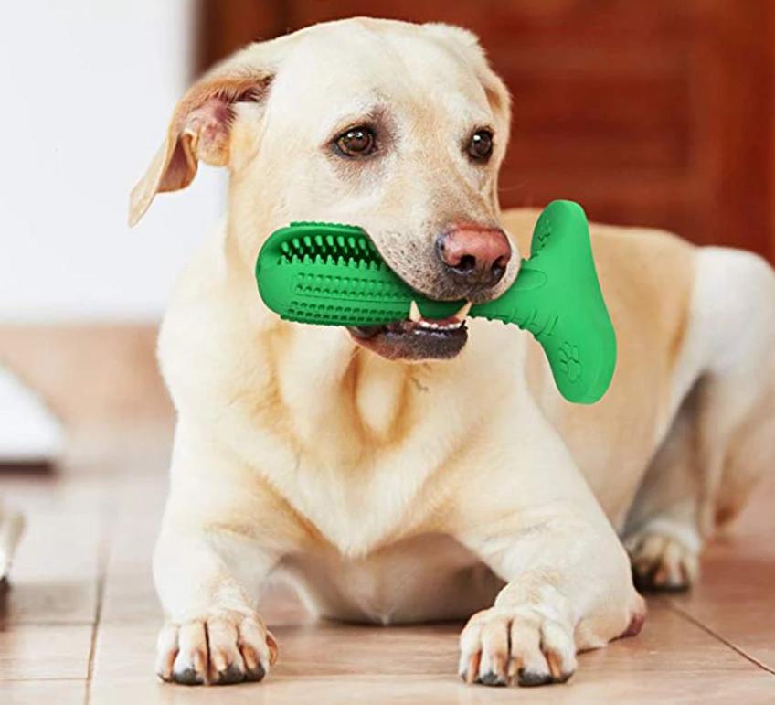Innovatives Hundespielzeug zur Zahnpflege: Kauspielzeug für gesunde Zähne & Plaqueentfernung bei Hunden.
