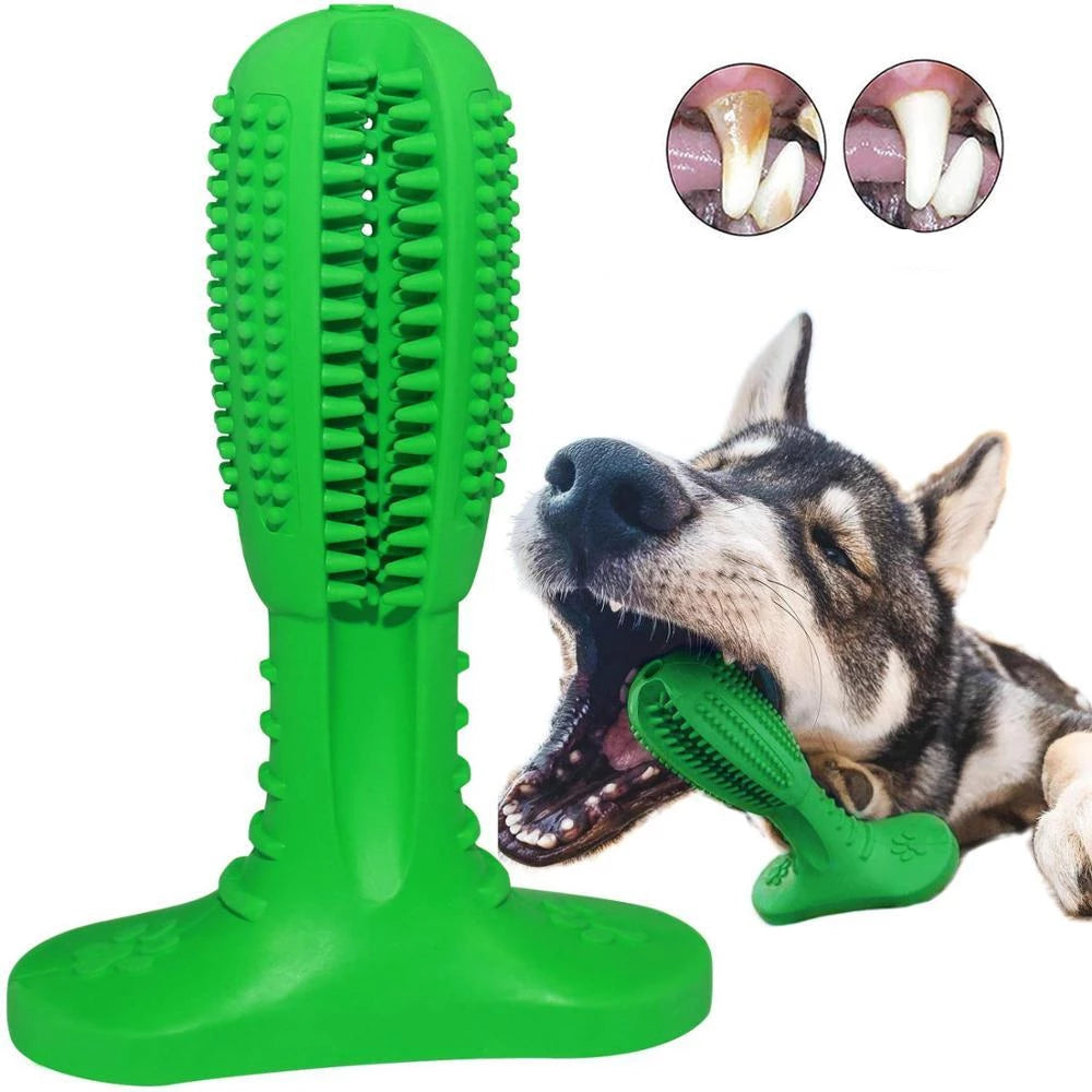 Robuste Zahnbürste für Hunde, ideal als Kauartikel & Zahnpflege für gesunden Atem und starke Zähne.