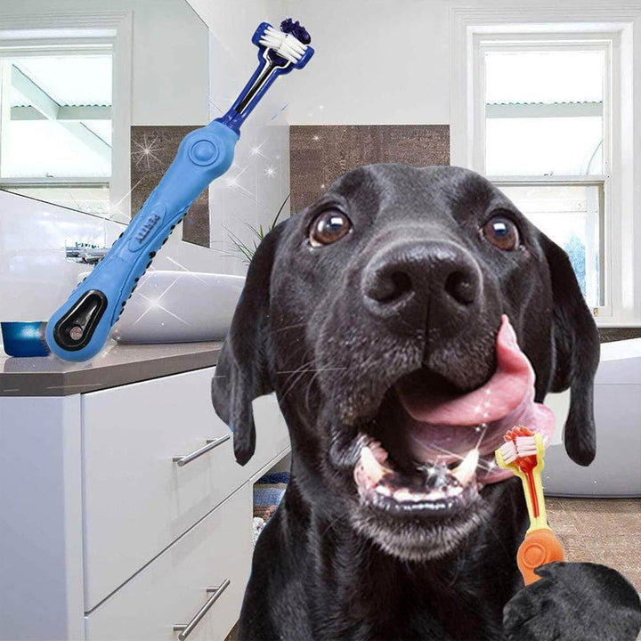 Einfache Zahnpflege für Haustiere: Die dreiseitige Bürste macht die Reinigung schnell & effektiv, für eine bessere Mundhygiene.