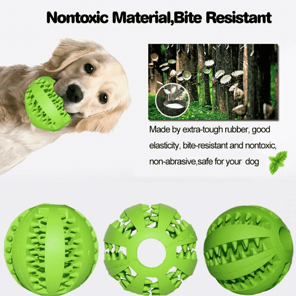 Vielseitiges Hundespielzeug: Futterspender, Zahnreinigung & Kauspielzeug in einem für interaktive Hunde.