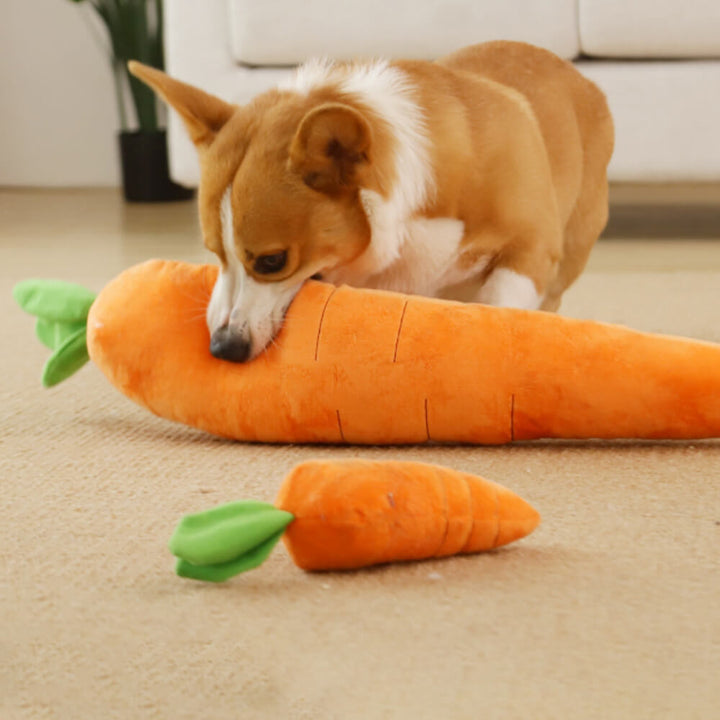 Interaktives Quietsch-Hundespielzeug in Karottenform für Hunde; Plüsch-Kauspielzeug für aktiven Spielspaß.