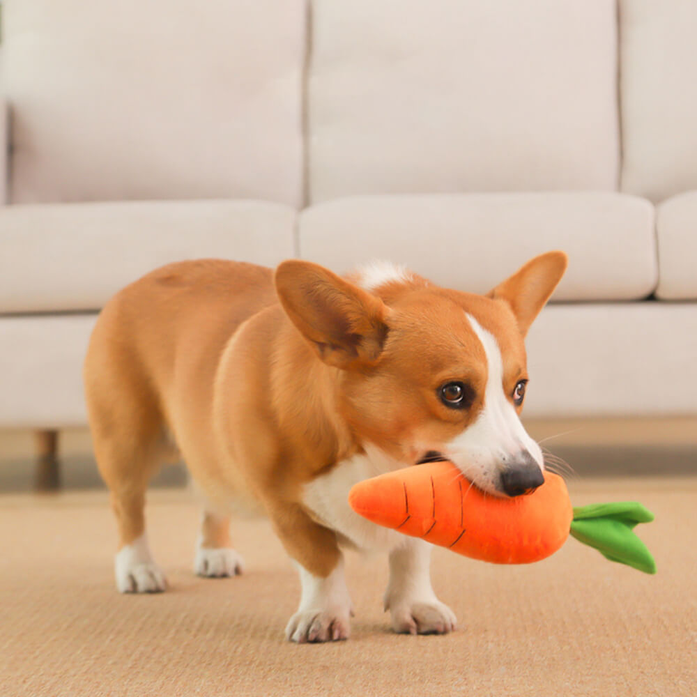 Robustes Quietsch-Hundespielzeug Karotte; interaktives Plüsch-Kauspielzeug für Welpen und erwachsene Hunde.