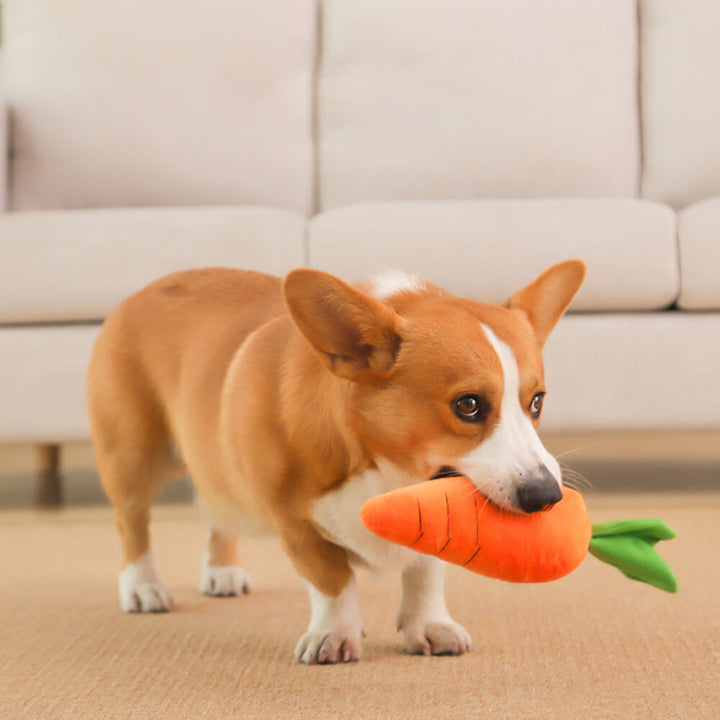 Robustes Quietsch-Hundespielzeug Karotte; interaktives Plüsch-Kauspielzeug für Welpen und erwachsene Hunde.