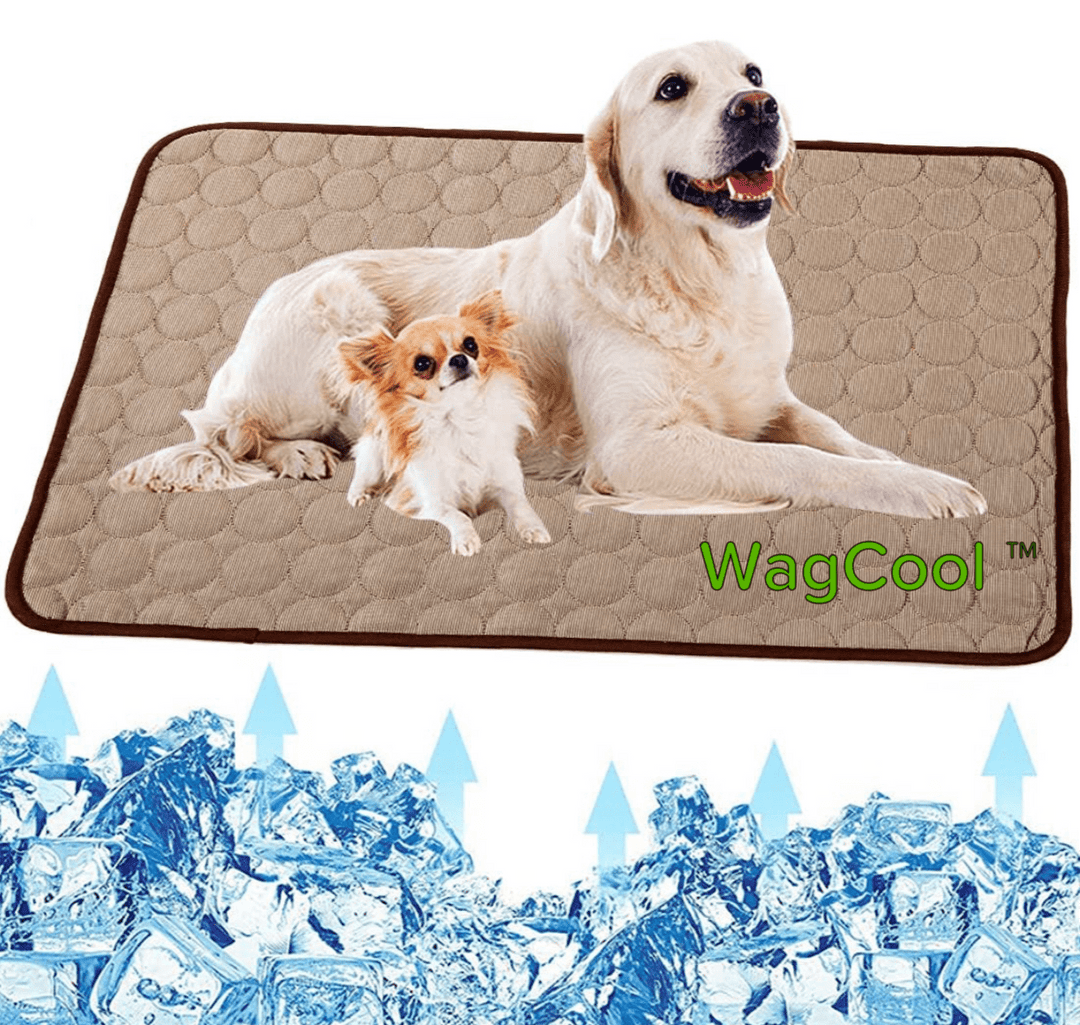 Waschbare Hundekühlmatte: Pflegeleichte, waschbare Kühlmatte in Grau für Hunde und Welpen, garantiert Hygiene & Langlebigkeit.