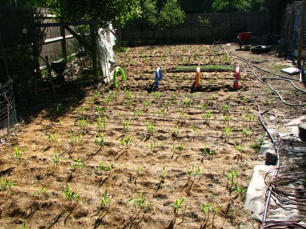 Wassersparendes Tropfbewässerungssystem für Garten & Terrasse, automatische Pflanzenbewässerung & Kühlung für den Außenbereich.