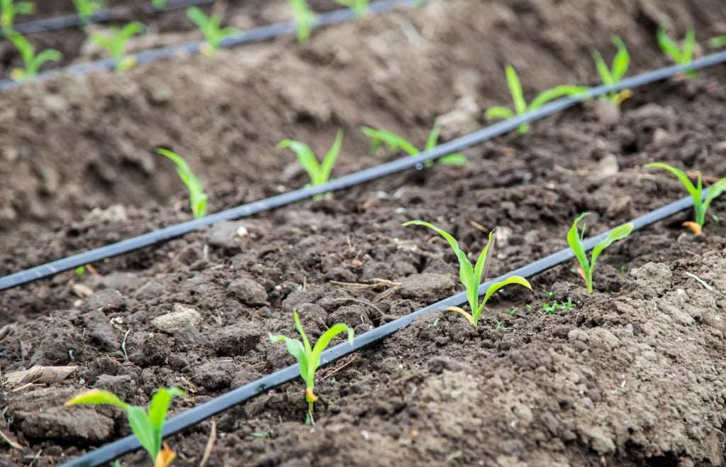 Automatisches Bewässerungssystem für den Garten, kühlt und spart Wasser, einfache Installation für Terrassen & Pflanzen.