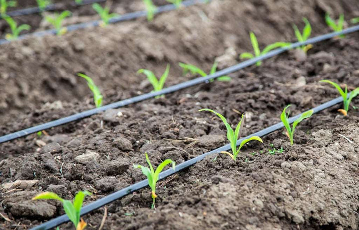 Automatisches Bewässerungssystem für den Garten, kühlt und spart Wasser, einfache Installation für Terrassen & Pflanzen.