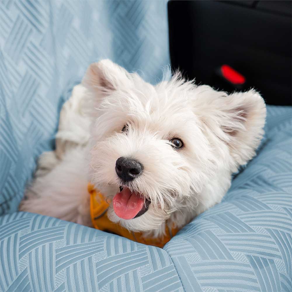 Autositz für Hunde: sicheres, kühlendes Hundebett, ideal für Rücksitz & reisekomfortabel.