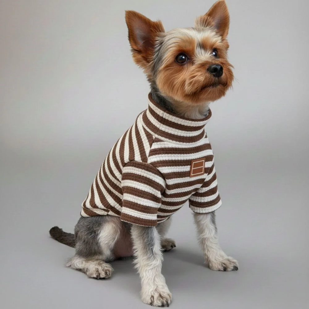 Sportliche karierte Hundejacke im Baseball-Stil mit Unterhemd. Modische Hundebekleidung für Outdoor-Spaziergänge.
