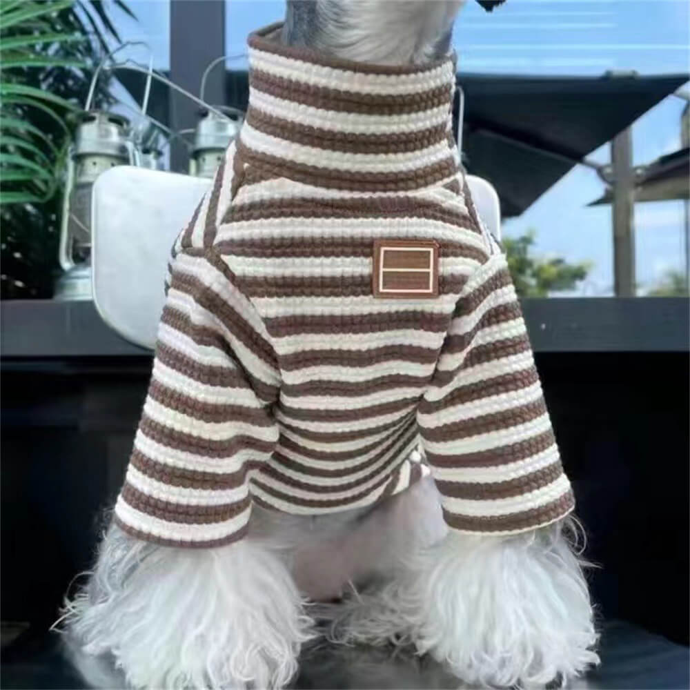 Set: modische karierte Hundejacke und Unterhemd. Stilvolle Hundebekleidung für sportliche Hunde.