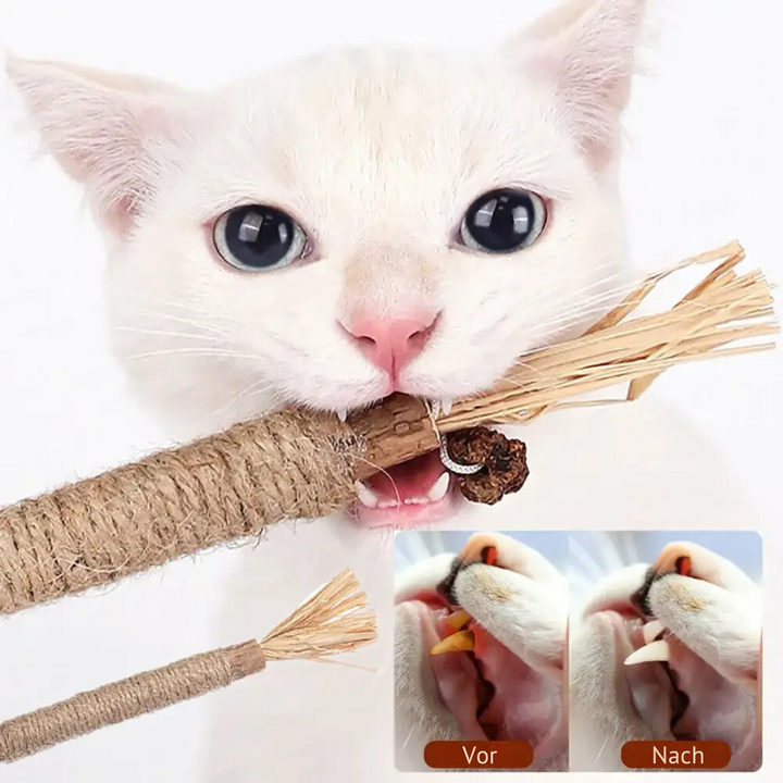 Packung mit natürlichen Katzen-Zahnreinigungs-Sticks für die tägliche Zahnpflege. Effektive Plaque-Reduktion für Katzen.