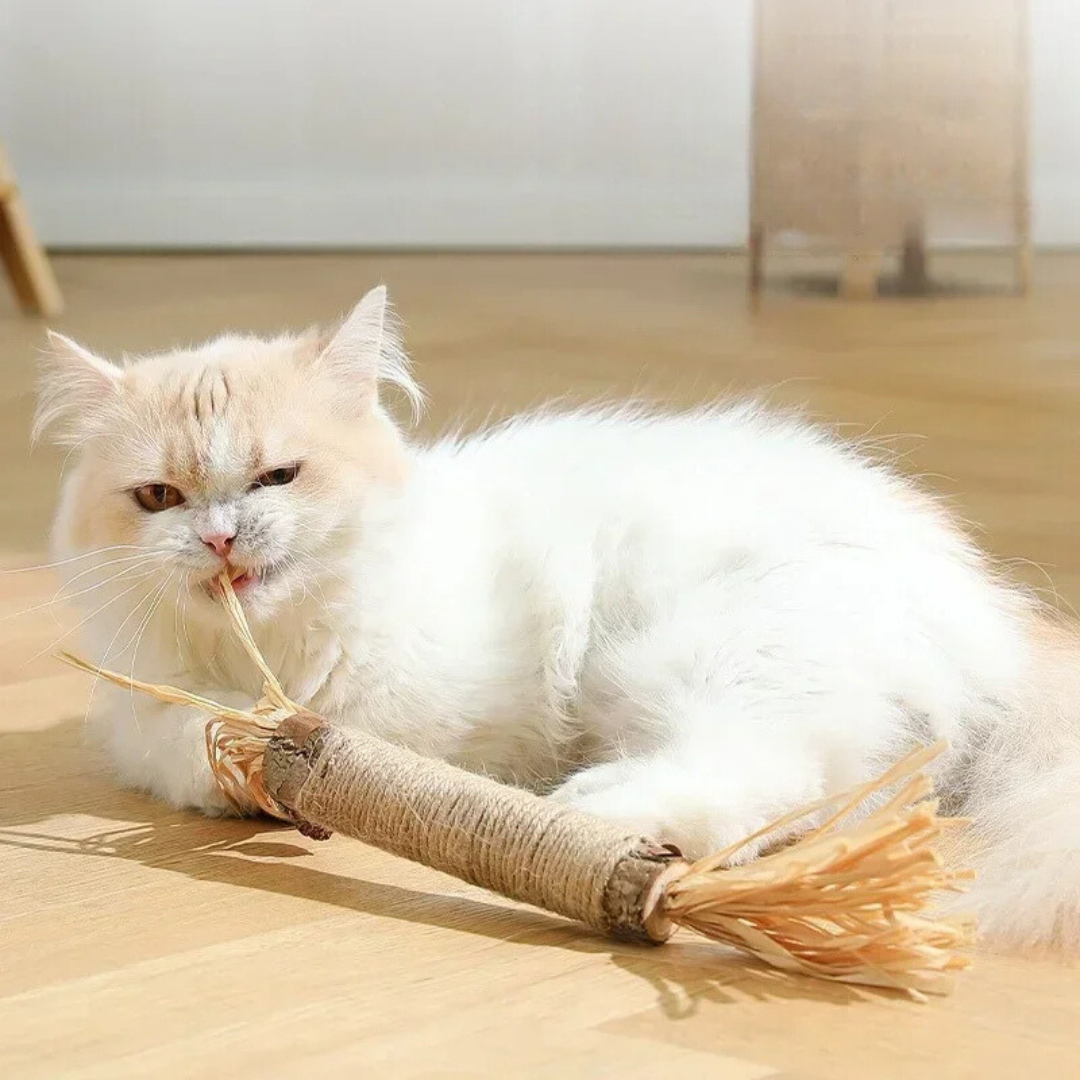 Nahaufnahme der Katzen-Zahnreinigungs-Sticks. Spezielle Textur reinigt Zähne, reduziert Plaque & sorgt für frischen Atem.