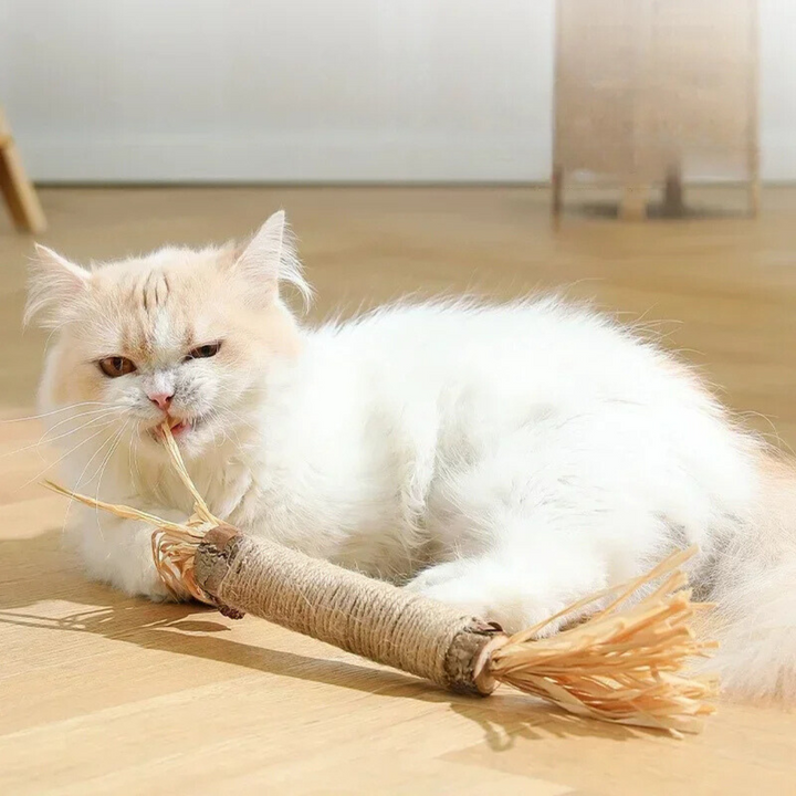 Nahaufnahme der Katzen-Zahnreinigungs-Sticks. Spezielle Textur reinigt Zähne, reduziert Plaque & sorgt für frischen Atem.