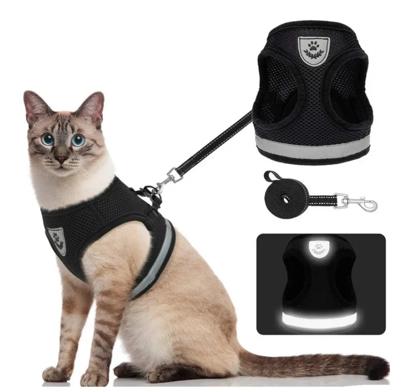 Ausbruchsicheres Katzengeschirr mit Leine, weich gepolstert für maximalen Komfort bei Spaziergängen. Reflektierend.