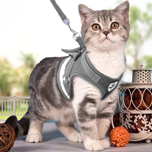Praktisches Haustiergeschirr für Katzen, ausbruchsicher und verstellbar, inklusive passender Katzenleine für Abenteuer.