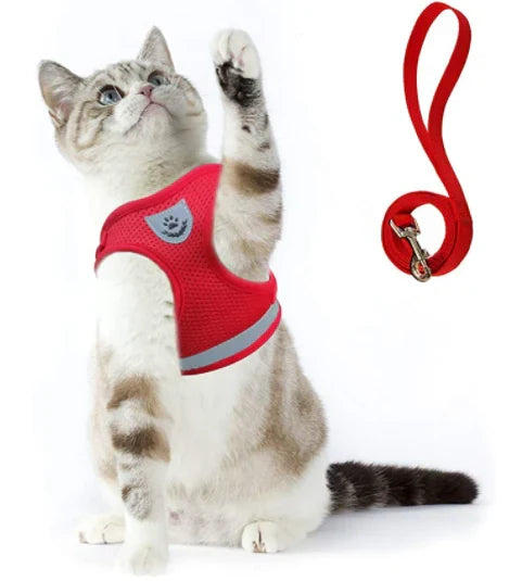 Hochwertiges Katzengeschirr mit Leine, ausbruchsicher und bequem, ideal für sichere Spaziergänge. Tierzubehör.