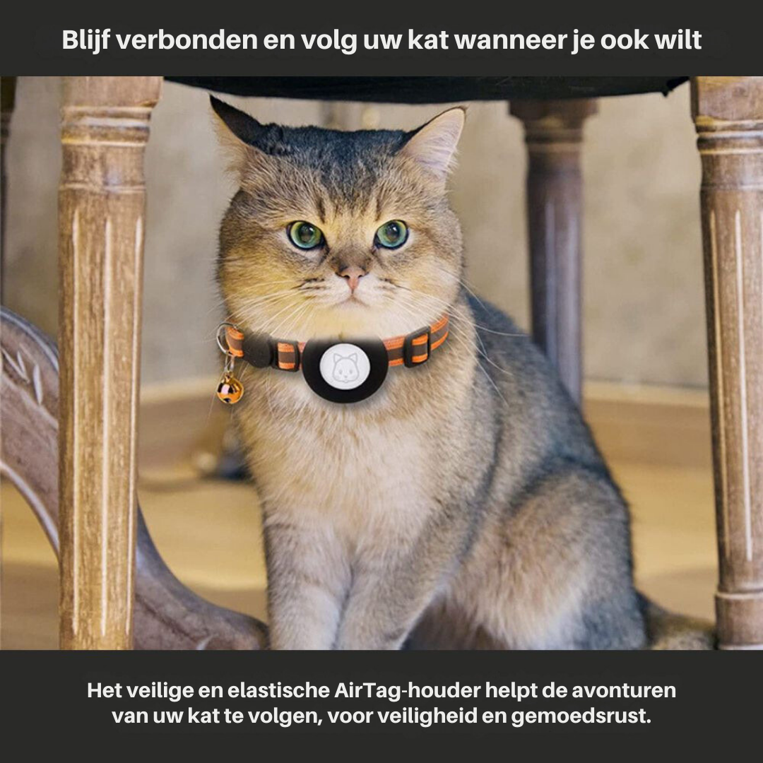 Reflektierendes Katzenhalsband mit GPS-Halter, Sicherheitsverschluss & Glöckchen für Sichtbarkeit.