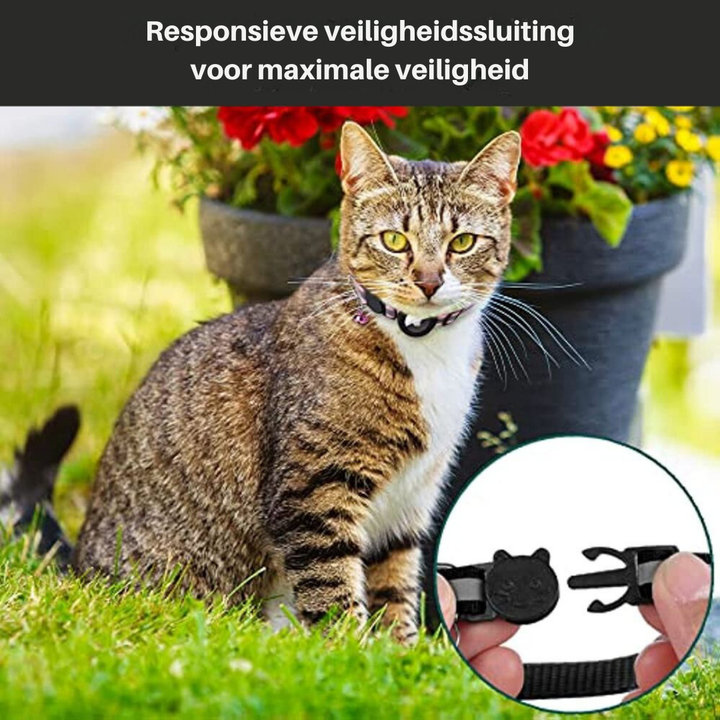 Robustes Katzenhalsband mit GPS-Halter für Tracker, Sicherheitsverschluss & reflektierenden Details.