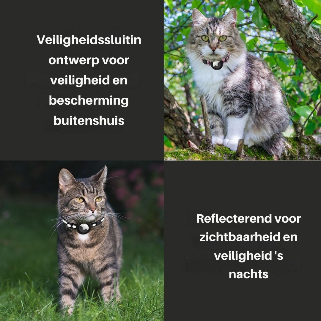 Hochwertiges Katzenzubehör: Halsband mit GPS-Halter, Sicherheitsverschluss & Glöckchen.