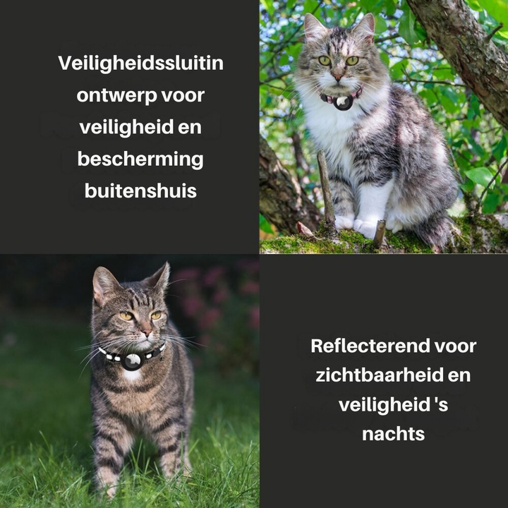 Hochwertiges Katzenzubehör: Halsband mit GPS-Halter, Sicherheitsverschluss & Glöckchen.