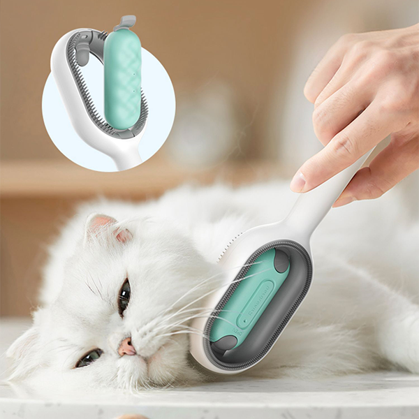 Effektiver 2-in-1 Haustierpflegekamm mit Wassertank für sanfte Fellpflege von Hunden und Katzen.
